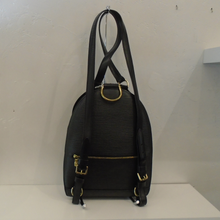 Load image into Gallery viewer, Louis Vuitton Vintage Black Epi Leather PM Backpack
